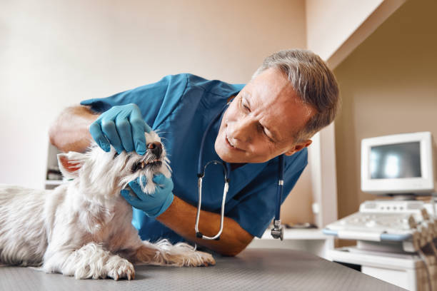 Best Urgent Dental Care  in Lyons, KS